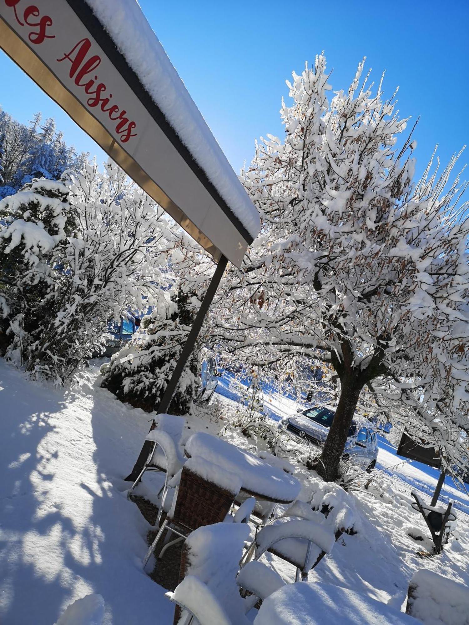 Les Alisiers Daire Montclar  Dış mekan fotoğraf